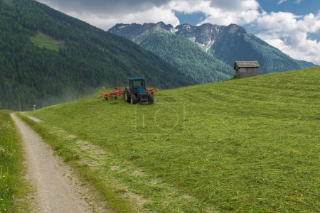 Téléchargez les photos : Un petit tracteur coupe de l'herbe fraîche dans la pittoresque prairie alpine des montagnes. Paysage rural en Autriche - en image libre de droit