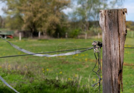 Detailed photo, pasture fence with wooden peg, landscape in Berlin Lbars, Berlin, Germany,