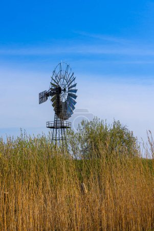 Wind turbine at the Lobbe wind pumping station, Rgen, Mecklenburg-Western Pomerania, Germany