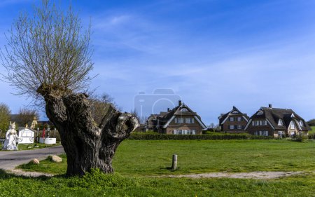 Holiday home settlement on the beach of the Baltic Sea, Rgen, Mecklenburg-Vorpommern, Germany