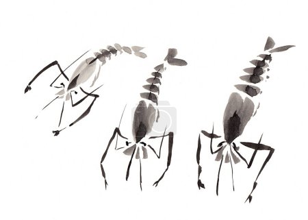 Téléchargez les photos : Three shrimps on white background, made in Chinese technique go-hua. Hand drawn watercolor with paper texture. Raster image - en image libre de droit