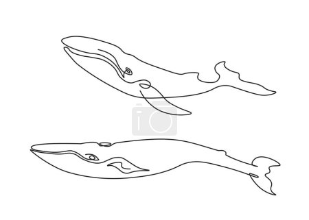 Téléchargez les photos : Deux baleines fabriquées selon la même technique d'art linéaire continu. Image minimaliste en noir et blanc - en image libre de droit