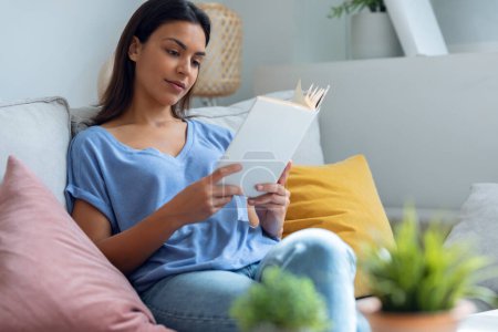 Téléchargez les photos : Prise de vue de jolie jeune femme lisant un livre alors qu'elle était assise sur un canapé à la maison. - en image libre de droit