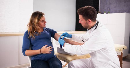 Téléchargez les photos : Dépistage prénatal. Docteur prélever un échantillon de sang de la femme enceinte - en image libre de droit