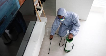 Téléchargez les photos : Exterminate Pest Termites In Living Room Service - en image libre de droit