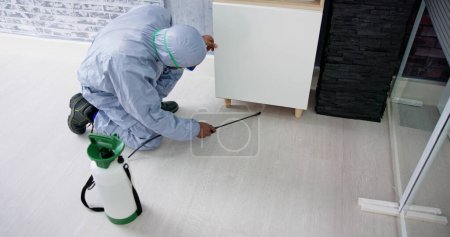 Téléchargez les photos : Exterminateur de lutte antiparasitaire Pesticide termite pulvérisé par l'homme au bureau - en image libre de droit