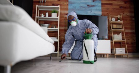 Téléchargez les photos : Exterminate Pest Termites In Living Room Service - en image libre de droit