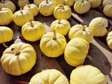 Téléchargez les photos : Pumpkin Autumn October Thanksgiving Natural Food Background - en image libre de droit