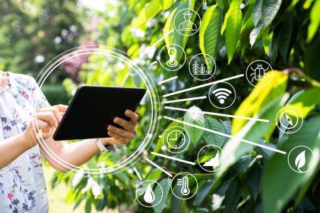 Téléchargez les photos : Smart Farming Digital Technology Agriculture App à la ferme - en image libre de droit
