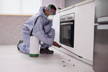 Foto de Trabajador de control de plagas masculino con pulverización de plaguicidas en la cocina - Imagen libre de derechos