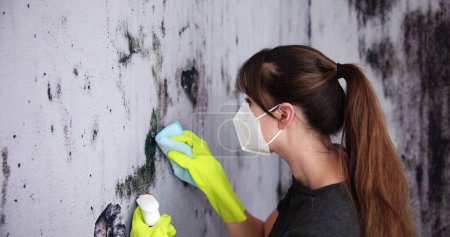 Photo for Cleaning Wet Wall Mold. Home Apartment Mould - Royalty Free Image