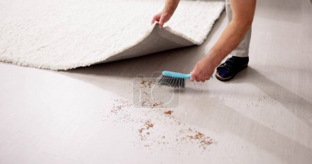 Photo for Sweeping Dirt Under Carpet. Hiding Dust While Cleaning - Royalty Free Image