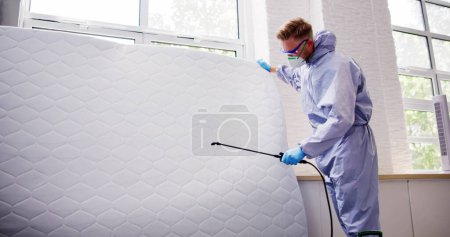 Photo for Pest Control Service. Bug Bed Treatment By Exterminator - Royalty Free Image
