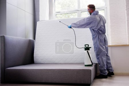 Photo for Pest Control Service. Bug Bed Treatment By Exterminator - Royalty Free Image