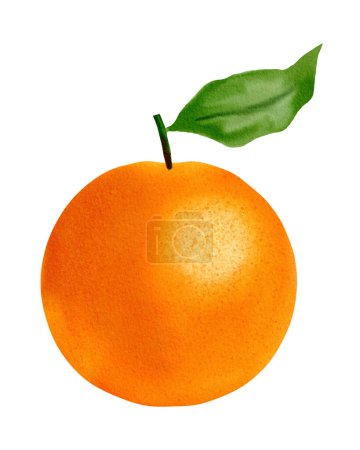 Foto de Amarillo anaranjado aislado sobre fondo blanco - Imagen libre de derechos