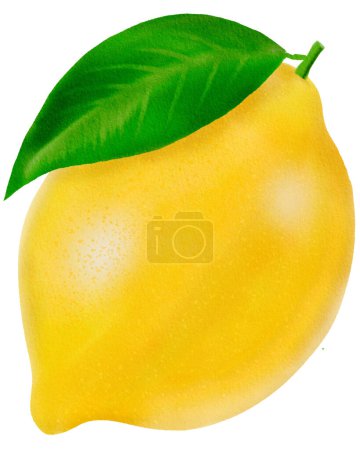 Foto de Ilustración vectorial con limón - Imagen libre de derechos