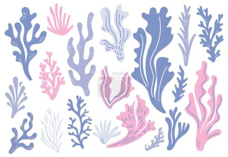 Illustration for Coral reefs and seaweeds, doodle design elements - Royalty Free Image
