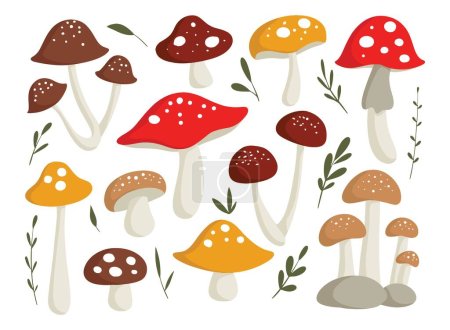 ensemble de différents champignons forestiers. illustration vectorielle dans le style de dessin animé.  