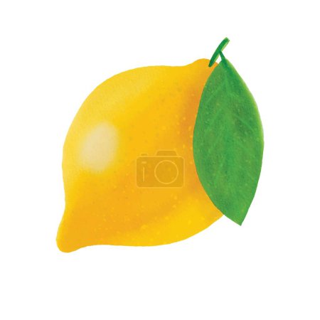 Foto de Acuarela limón amarillo maduro fresco sobre un fondo blanco. - Imagen libre de derechos