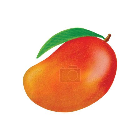 Foto de Mango fresco aislado sobre fondo blanco - Imagen libre de derechos