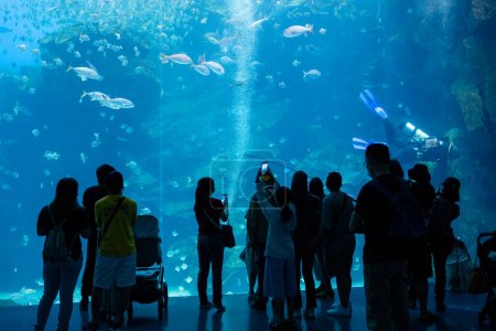 Taoyuan, Taiwan - 06 July 2022: Xpark Aquarium in Taiwan