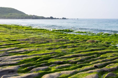 Foto de Laomei Green Reef en Taiwán - Imagen libre de derechos