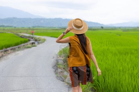 Foto de Mujer viajera disfruta de la vista del arrozal en Yuli de Taiwán - Imagen libre de derechos