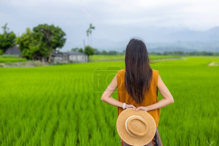 Foto de Mujer turística en el campo de arroz en Yuli de Taiwán - Imagen libre de derechos