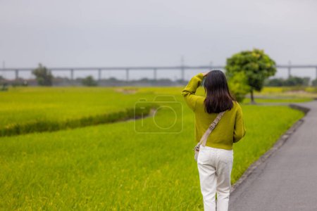 Photo for Woman visit Waipu rice field in Taichung - Royalty Free Image