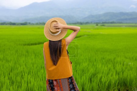 Foto de Chica joven caminando en el campo de arroz en Yuli de Taiwán - Imagen libre de derechos