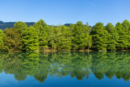 Téléchargez les photos : Beau lac avec reflet d'arbre vert dans le comté de Hualien à Taiwan - en image libre de droit