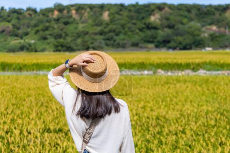 Foto de Viaje mujer ir Taiwan Taichung Waipu arrozal campo de arroz - Imagen libre de derechos