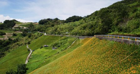 Foto de Campo de flores de hermoso naranjo en Taimali Kinchen Mountain en Taitung de Taiwán - Imagen libre de derechos