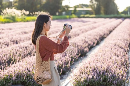 Foto de Mujer tomar una foto en la cámara en el campo de flores chino Mesona en Taoyuan Yangmei Distrito - Imagen libre de derechos