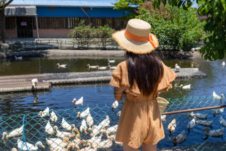 Téléchargez les photos : Woman visit tourist duck farm - en image libre de droit