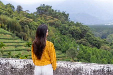 Téléchargez les photos : Travel woman look at the tea tree field - en image libre de droit