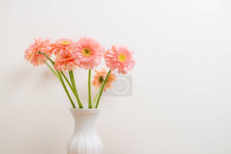 Téléchargez les photos : Gerbera fleur de couleur rose - en image libre de droit
