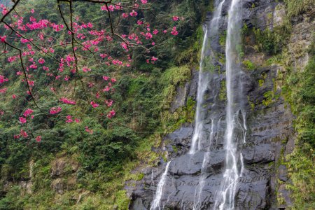Foto de Beautiful waterfall mountain in Wulai of Taiwan - Imagen libre de derechos