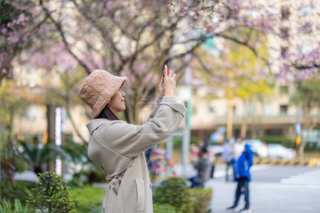 Téléchargez les photos : Femme prendre des photos sur téléphone portable de fleur de sakura - en image libre de droit