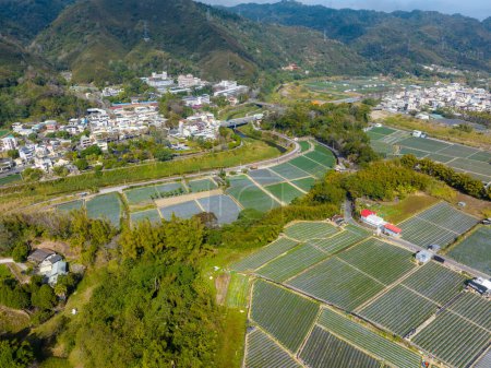 Foto de Vista superior del campo de fresas y la aldea en Dahu en Miaoli de Taiwán - Imagen libre de derechos