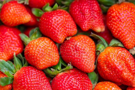 Photo for Fresh and delightful strawberries for a sweet treat - Royalty Free Image