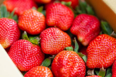 Photo for Perfectly ripe strawberries in a simple box - Royalty Free Image