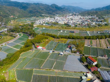 Foto de Vista superior del campo de fresas y la aldea en Dahu en Miaoli de Taiwán - Imagen libre de derechos