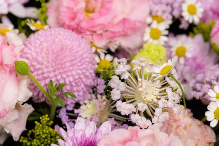 Téléchargez les photos : Sélection mixte de fleurs violettes - en image libre de droit