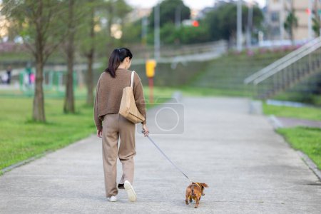 Téléchargez les photos : Femme marchant avec son chien teckel au parc - en image libre de droit