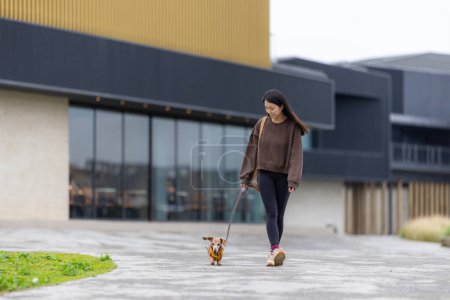 Photo for Woman walking with her dachshund dog at park - Royalty Free Image