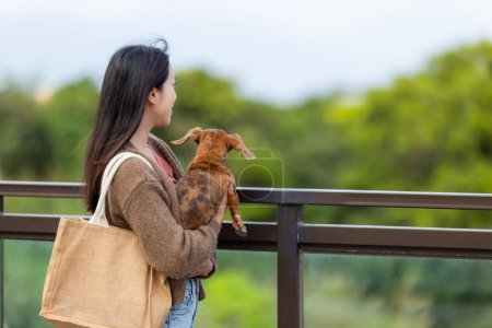 Téléchargez les photos : Femme apporter son chien à l'extérieur - en image libre de droit