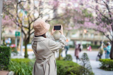 Foto de Mujer utilizar el teléfono móvil para tomar una foto del árbol de sakura - Imagen libre de derechos
