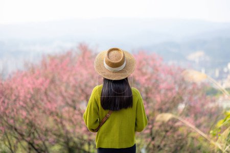 Téléchargez les photos : Voyage femme profiter de l'arbre sakura - en image libre de droit