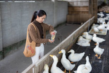 Foto de Mujer alimentar pato en la granja - Imagen libre de derechos